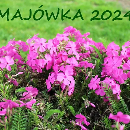 Szumiący Pod śnieżką 1 Apartament *
