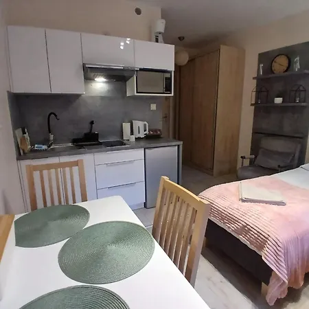 Apartament Sucha 309